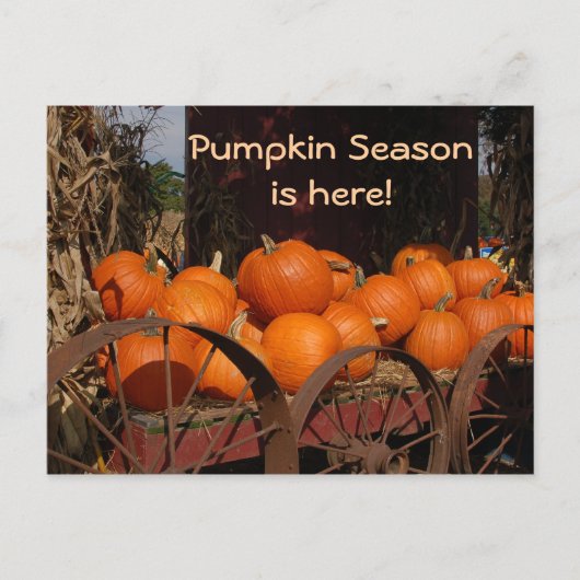 カボチャのワゴン写真はがき ポストカード (正面)