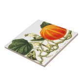 カボチャのヴィンテージの植物のプリント タイル (側面)