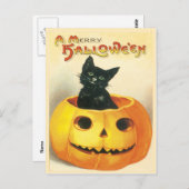 カボチャのヴィンテージ葉書に座る猫 ポストカード (正面/裏面)