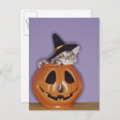 カボチャの中の魔女の帽子の猫 ポストカード (正面/裏面)