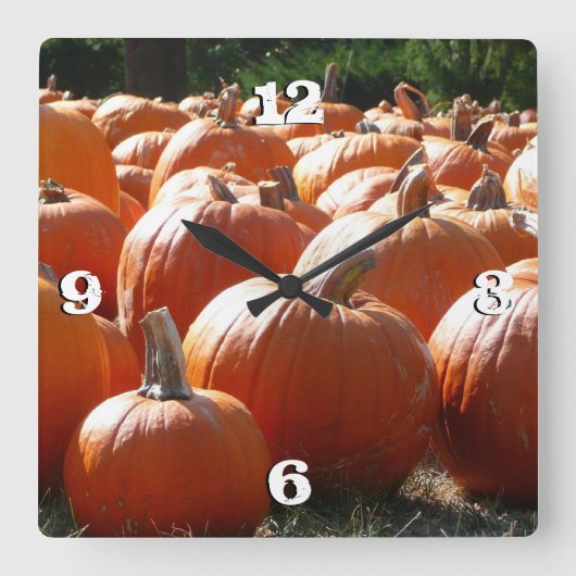 カボチャの写真(秋、ハロウィン、感謝祭用) スクエア壁時計 (正面)