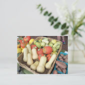 カボチャの品種 ポストカード (スタンド正面)