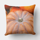 カボチャの季節 クッション (裏面)