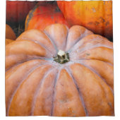 カボチャの季節 シャワーカーテン (正面)