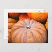 カボチャの季節 ポストカード (正面/裏面)