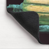 カボチャの形の野菜皿 マウスパッド (コーナー)