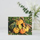 カボチャの感謝祭のシーン – コーングルド シーズンポストカード (スタンド正面)
