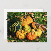 カボチャの感謝祭のシーン – コーングルド シーズンポストカード (正面/裏面)
