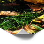 カボチャの感謝祭のシーン – コーングルド ポスター (角)