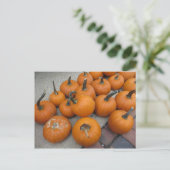 カボチャの散らかり ポストカード (スタンド正面)