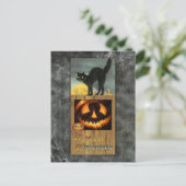 カボチャの木のフェンスの上の黒猫 ポストカード (スタンド正面)