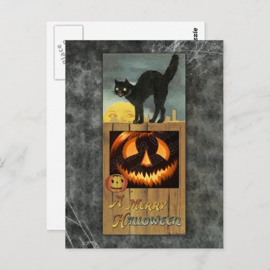 カボチャの木のフェンスの上の黒猫 ポストカード (正面/裏面)