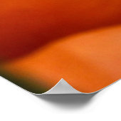 カボチャの束 ポスター (角)