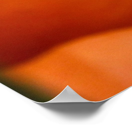 カボチャの束 ポスター (角)