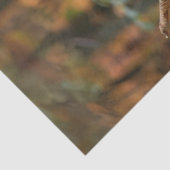 カボチャの森で秋のフィギュアをデクページ 薄葉紙 (詳細)