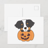 カボチャの犬でベルネーズマウンテンドッグハッピー ポストカード (正面/裏面)