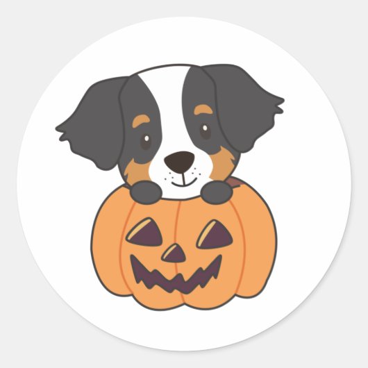 カボチャの犬でベルネーズマウンテンドッグハッピー ラウンドシール (正面)