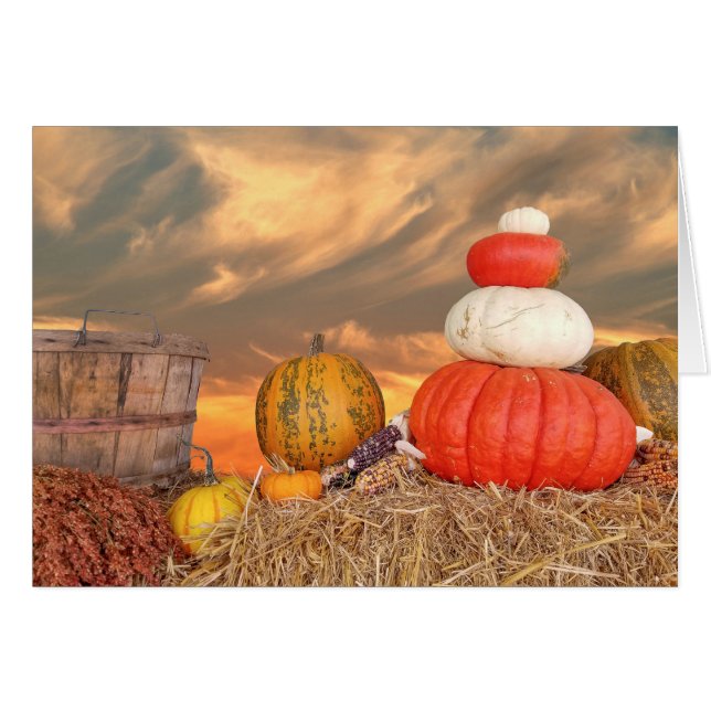 カボチャの秋の夕日 (正面横)