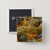 カボチャの種類 缶バッジ (正面&裏面)