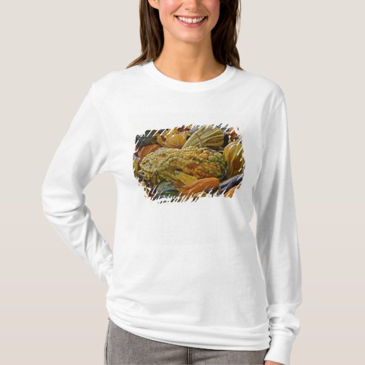カボチャの種類 Tシャツ (正面)