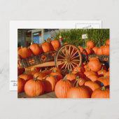 カボチャの販売 ポストカード (正面/裏面)