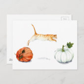 カボチャの間を飛び跳ねるオレンジキャット ポストカード (正面/裏面)