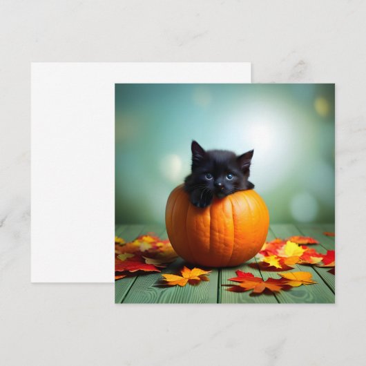 カボチャの黒い子猫 (正面/裏面)