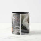 カボチャを食べている白くま マグカップ (中央)