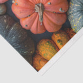 カボチャカラフルングルズとカボチャの切り離 薄葉紙 (詳細)