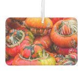 カボチャカラフルン カーエアーフレッシュナー (裏面)