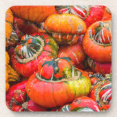 カボチャカラフルン コースター (正面)