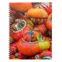 カボチャカラフルン