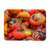 カボチャカラフルン マグネット (横)