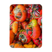 カボチャカラフルン マグネット (縦)