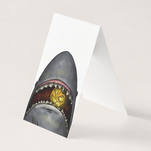 カボチャザメ (正面)