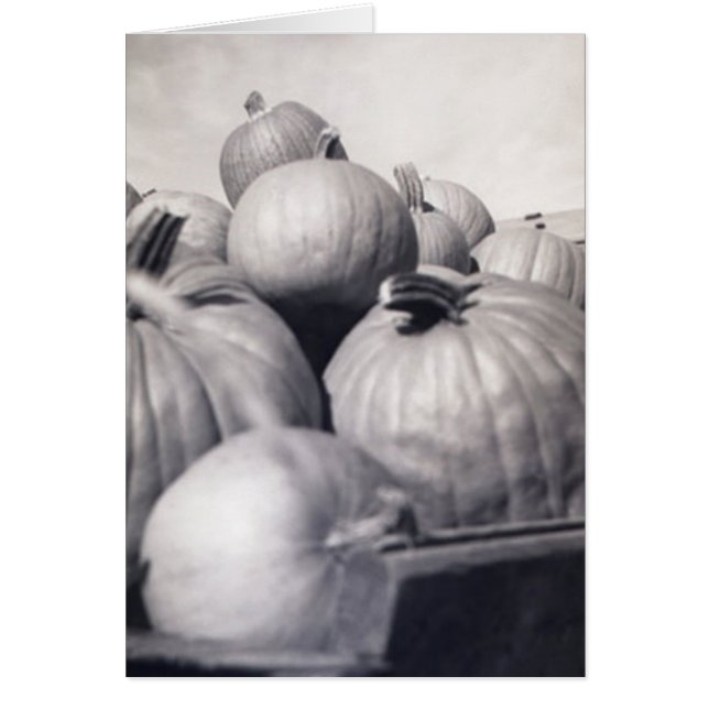 カボチャワゴン (正面)