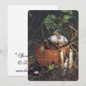 カボチャ不気味ンノテカ サンキューカード (正面/裏面)