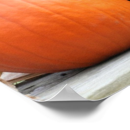 カボチャ乾燥トウモロコシの茎鏡抽象芸術 ポスター (角)