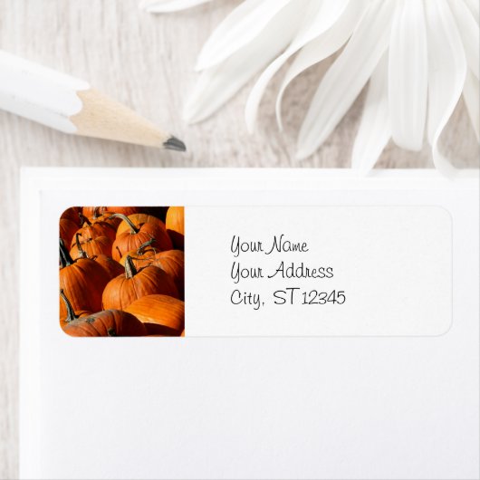カボチャ住所 シール (インサイチュ)