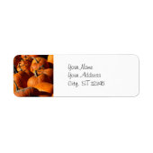 カボチャ住所 シール (正面)