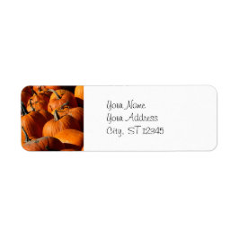 カボチャ住所 シール