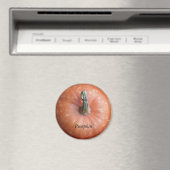 カボチャ写真 マグネット (インサイチュ (食洗機))