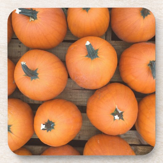 カボチャ列 コースター (正面)