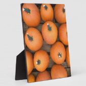 カボチャ列 フォトプラーク (側面)