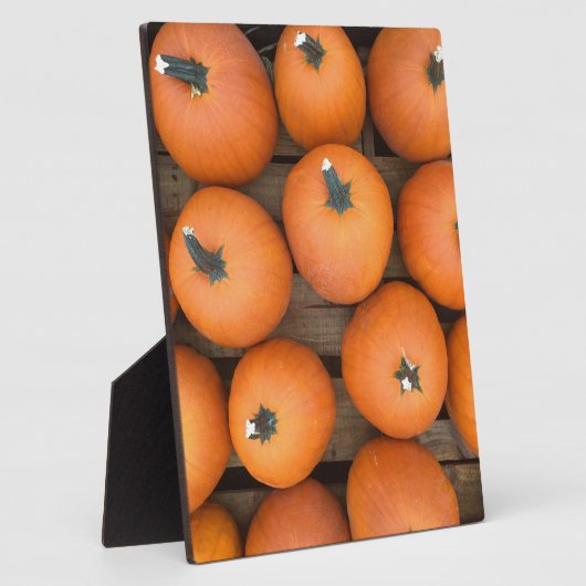 カボチャ列 フォトプラーク (側面)