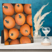 カボチャ列 フォトプラーク (側面)