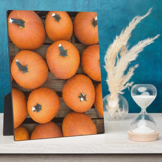 カボチャ列 フォトプラーク (側面)