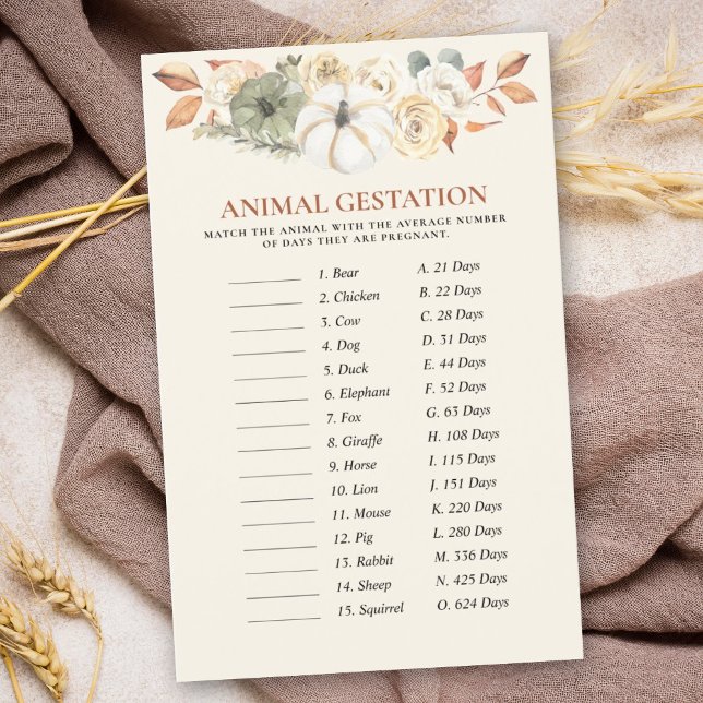 カボチャ動物妊娠赤ちゃんシャワーゲーム (This delightful game is a wonderful way to celebrate in a fall-themed pumpkin baby shower design.)