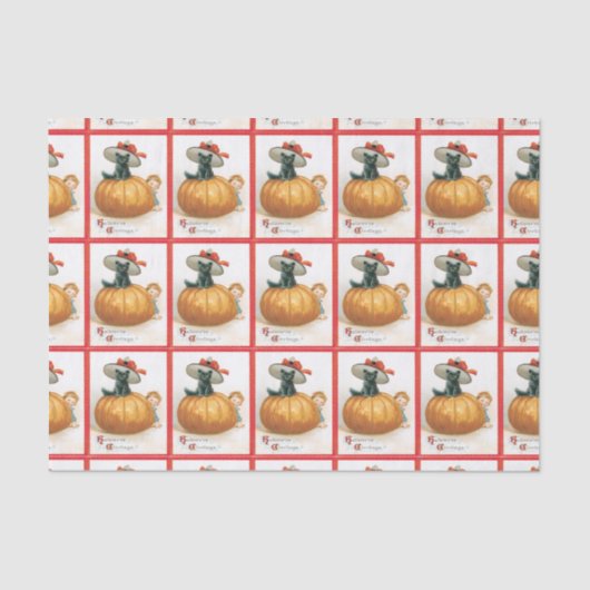 カボチャ及び黒猫ティッシュペーパー 薄葉紙 (正面)