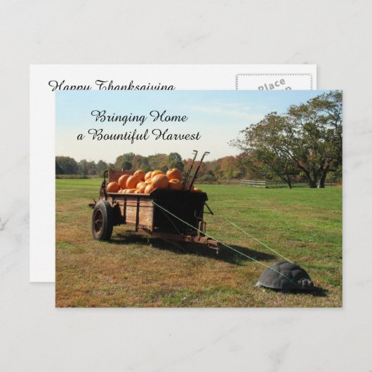 カボチャ収穫 – はがき (正面/裏面)